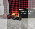 Image preview for Ad Listing. Nickname: Jackqueline