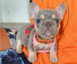 Image preview for Ad Listing. Nickname: Skye