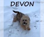 Image preview for Ad Listing. Nickname: Devon