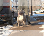 Image preview for Ad Listing. Nickname: Nicky