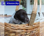 Image preview for Ad Listing. Nickname: Winston Boy