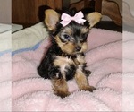Image preview for Ad Listing. Nickname: sayge