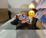 Small #2 Labrador Retriever Mix