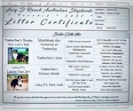 Small Photo #5 Australian Shepherd Puppy For Sale in TULAROSA, NM, USA