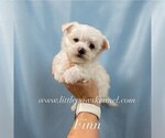 Image preview for Ad Listing. Nickname: Finn