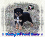Image preview for Ad Listing. Nickname: Alba