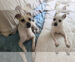 Small #1 Bo-Dach