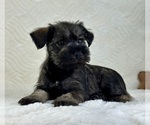 Image preview for Ad Listing. Nickname: Sebastian