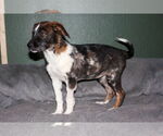 Small #2 Breeder Profile image