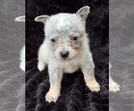 Image preview for Ad Listing. Nickname: Female