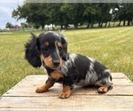 Image preview for Ad Listing. Nickname: Mia