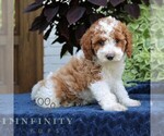 Image preview for Ad Listing. Nickname: Bailey