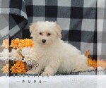 Image preview for Ad Listing. Nickname: Grant