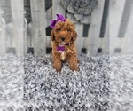 Image preview for Ad Listing. Nickname: Sophie