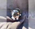 Image preview for Ad Listing. Nickname: no name