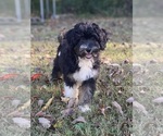 Image preview for Ad Listing. Nickname: Kierra