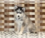 Image preview for Ad Listing. Nickname: Willow