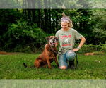 Small #3 Labrador Retriever-Mountain Cur Mix