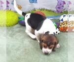 Image preview for Ad Listing. Nickname: Rory