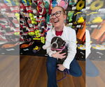 Small #1 Boglen Terrier