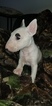 Small #91 Bull Terrier