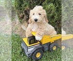 Image preview for Ad Listing. Nickname: Jack
