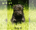 Image preview for Ad Listing. Nickname: Baby Charlie