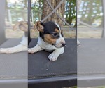 Image preview for Ad Listing. Nickname: Spunky