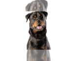 Small #9 Rottweiler