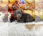 Image preview for Ad Listing. Nickname: Luke