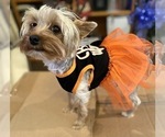 Image preview for Ad Listing. Nickname: Hailey Rose