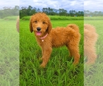 Image preview for Ad Listing. Nickname: Sunny