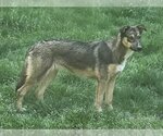 Small #1 Breeder Profile image