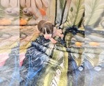 Small #3 Italian Greyhound