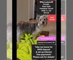 Image preview for Ad Listing. Nickname: Bernadette