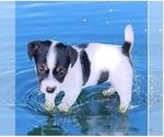 Image preview for Ad Listing. Nickname: Hazel