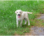 Image preview for Ad Listing. Nickname: Perseus