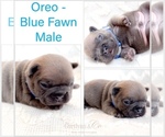 Image preview for Ad Listing. Nickname: Oreo