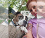 Small #4 American Pit Bull Terrier Mix