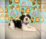Image preview for Ad Listing. Nickname: Bryce