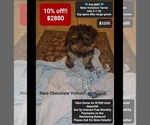 Image preview for Ad Listing. Nickname: Kaliber