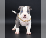 Image preview for Ad Listing. Nickname: Judith