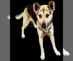 Small #3 Breeder Profile image