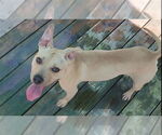 Small #3 Breeder Profile image