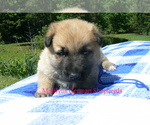 Image preview for Ad Listing. Nickname: Midnight Blue