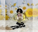 Small #3 ShihPoo