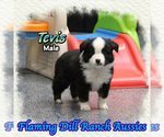 Image preview for Ad Listing. Nickname: Tevis