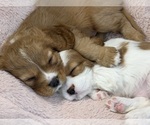  - Photo #4