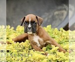 Image preview for Ad Listing. Nickname: Tilly