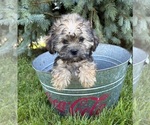Image preview for Ad Listing. Nickname: Lacey